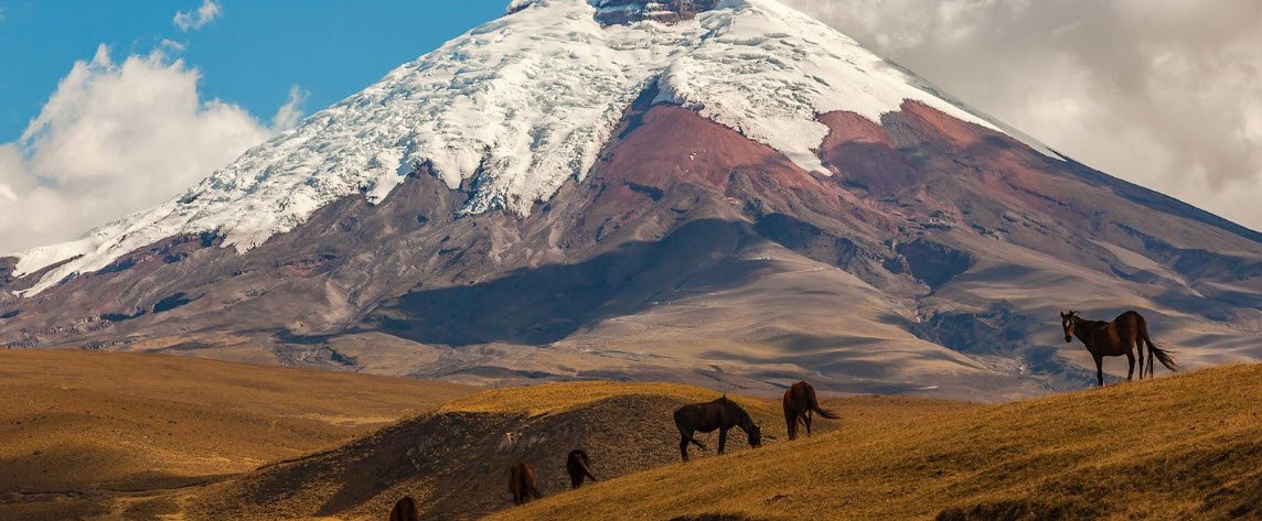 Cotopaxi National Park, Cotopaxi Province, Ecuador